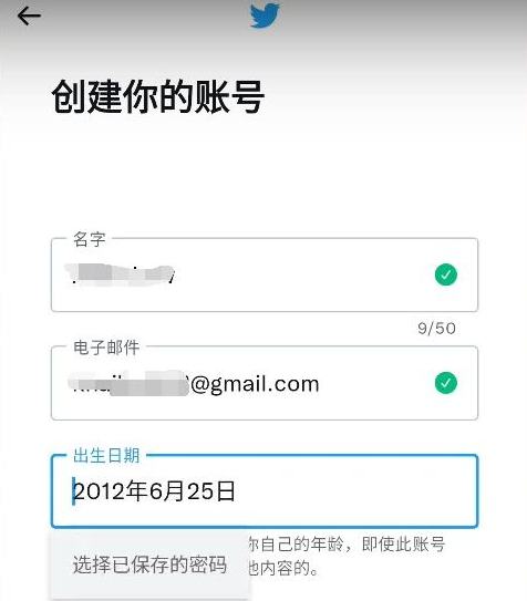 推特注册教程（推特账号怎么注册）(图13)